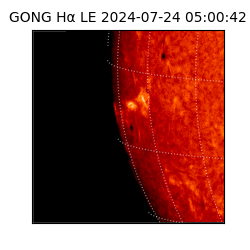 gong - 2024-07-24T05:00:42