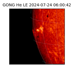 gong - 2024-07-24T06:00:42