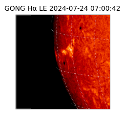 gong - 2024-07-24T07:00:42