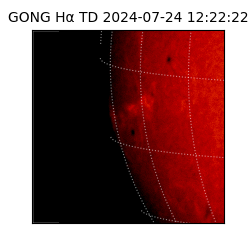 gong - 2024-07-24T12:22:22