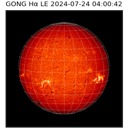 gong - 2024-07-24T04:00:42