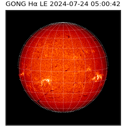 gong - 2024-07-24T05:00:42