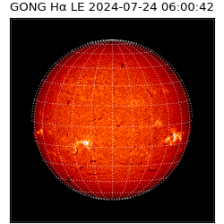 gong - 2024-07-24T06:00:42