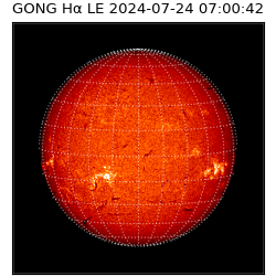 gong - 2024-07-24T07:00:42