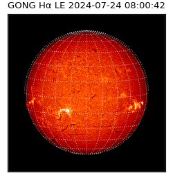 gong - 2024-07-24T08:00:42