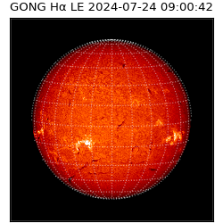 gong - 2024-07-24T09:00:42