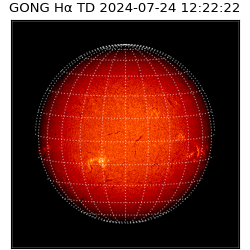 gong - 2024-07-24T12:22:22