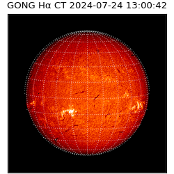 gong - 2024-07-24T13:00:42