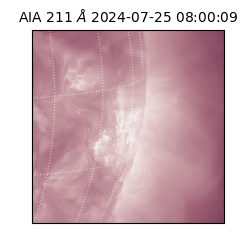 saia - 2024-07-25T08:00:09.626000