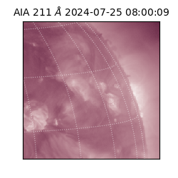 saia - 2024-07-25T08:00:09.626000