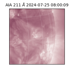 saia - 2024-07-25T08:00:09.626000