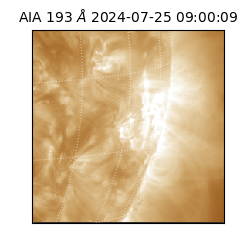 saia - 2024-07-25T09:00:09.460000