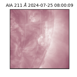 saia - 2024-07-25T08:00:09.626000