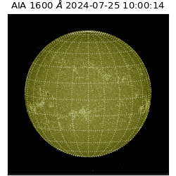 saia - 2024-07-25T10:00:14.131000