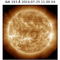 saia - 2024-07-25T11:00:04.843000