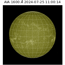 saia - 2024-07-25T11:00:14.126000