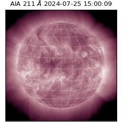 saia - 2024-07-25T15:00:09.626000