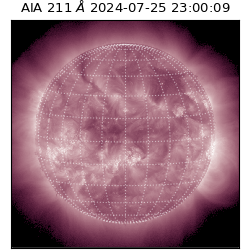 saia - 2024-07-25T23:00:09.632000