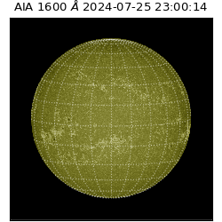 saia - 2024-07-25T23:00:14.126000