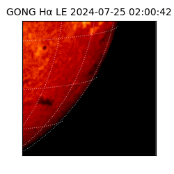 gong - 2024-07-25T02:00:42