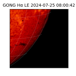 gong - 2024-07-25T08:00:42