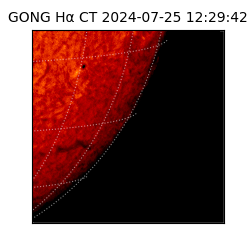 gong - 2024-07-25T12:29:42