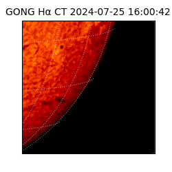 gong - 2024-07-25T16:00:42