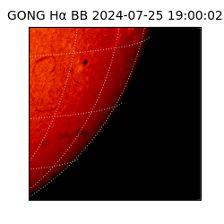 gong - 2024-07-25T19:00:02