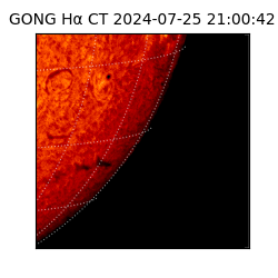 gong - 2024-07-25T21:00:42