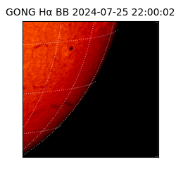 gong - 2024-07-25T22:00:02