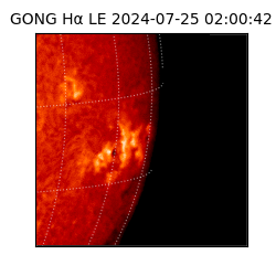 gong - 2024-07-25T02:00:42