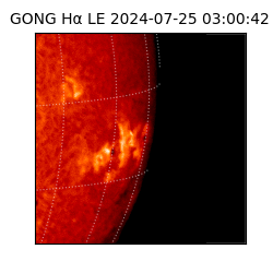 gong - 2024-07-25T03:00:42