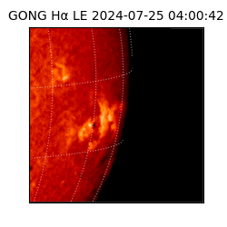 gong - 2024-07-25T04:00:42