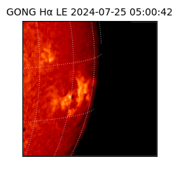 gong - 2024-07-25T05:00:42