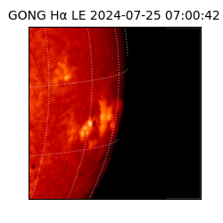 gong - 2024-07-25T07:00:42