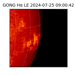 gong - 2024-07-25T09:00:42