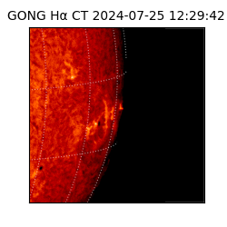 gong - 2024-07-25T12:29:42