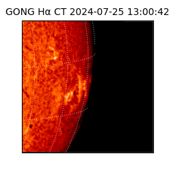 gong - 2024-07-25T13:00:42