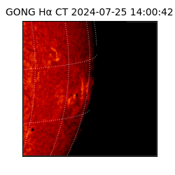 gong - 2024-07-25T14:00:42