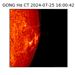 gong - 2024-07-25T16:00:42