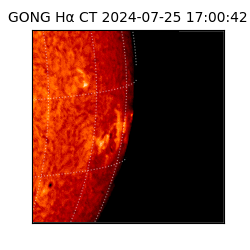 gong - 2024-07-25T17:00:42