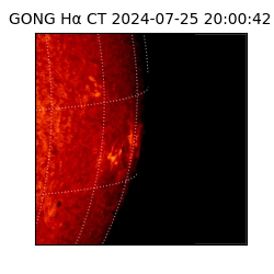 gong - 2024-07-25T20:00:42