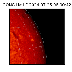 gong - 2024-07-25T06:00:42