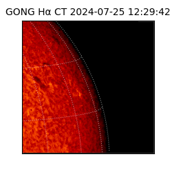 gong - 2024-07-25T12:29:42