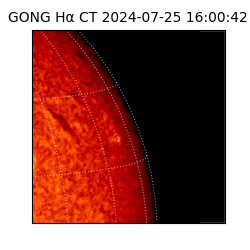 gong - 2024-07-25T16:00:42