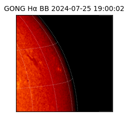 gong - 2024-07-25T19:00:02