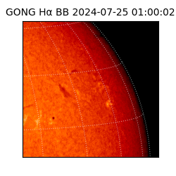 gong - 2024-07-25T01:00:02