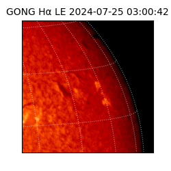 gong - 2024-07-25T03:00:42