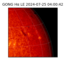 gong - 2024-07-25T04:00:42