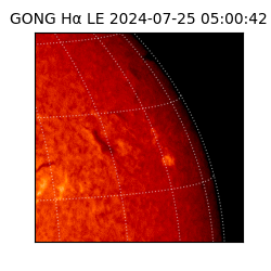 gong - 2024-07-25T05:00:42
